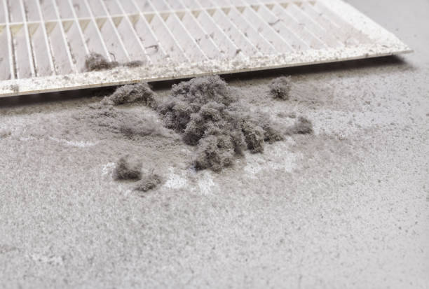 Best Air Duct Mold Removal  in Heyburn, ID