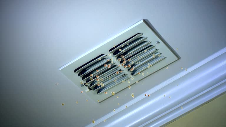Emergency Air Duct Cleaning in ID