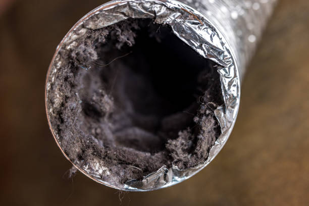 Best Air Duct Cleaning Near Me  in Heyburn, ID