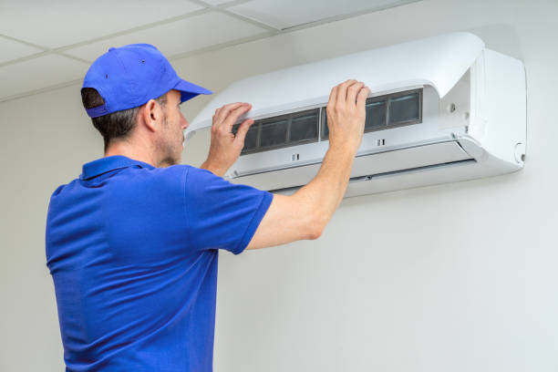 Air Duct Mold Removal in ID